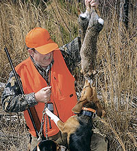 Wyoming rabbit hunting regulations