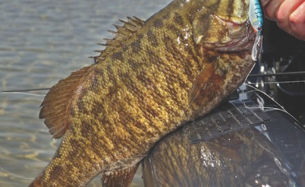 Best Lakes, Lures for Michigan Smallmouth Bass in June - Game & Fish