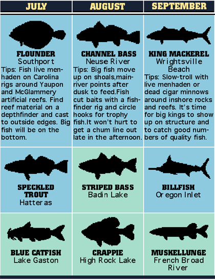 12 Fish Finder Rigs Surf Fishing Rigs Drum Shark Catfish Striped Bass Striper 