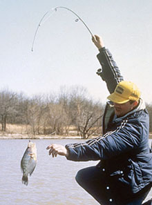 Chill-Out Crappie - Game & Fish
