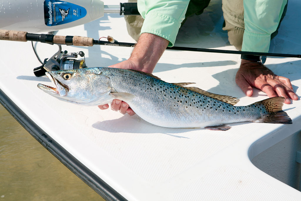 Now's The Time for Gulf Coast Speckled Trout Fishing - Game & Fish