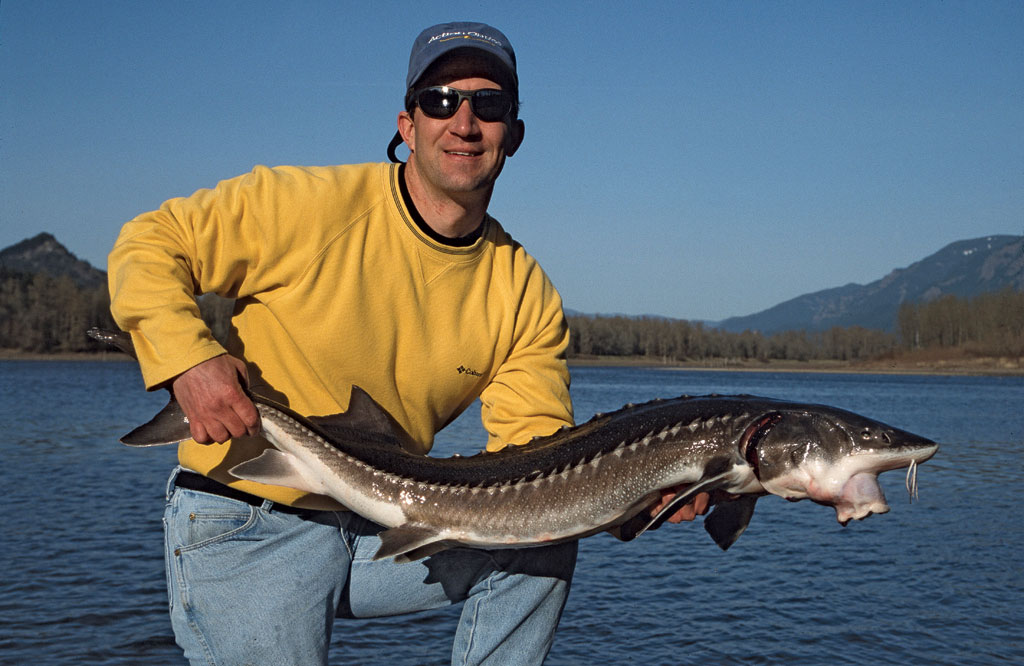 Back-Bouncing For Columbia River Sturgeon - Game & Fish