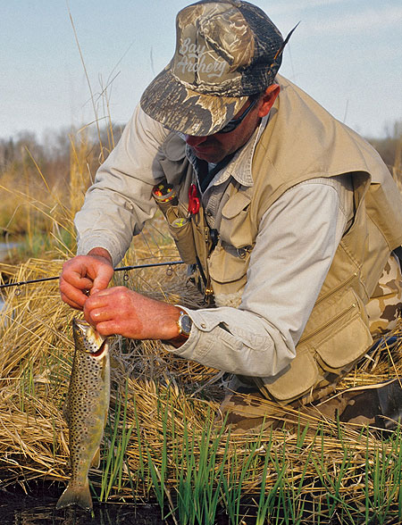 5 Must-Have Trout Fishing Lures and Baits for Stocked Trout - Kinsey's  Outdoors