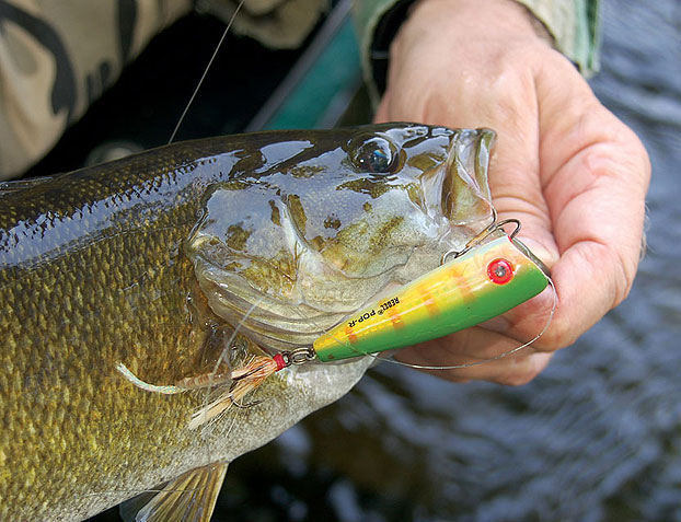 9 Topwater Lures For Summertime Smallmouths - Game & Fish