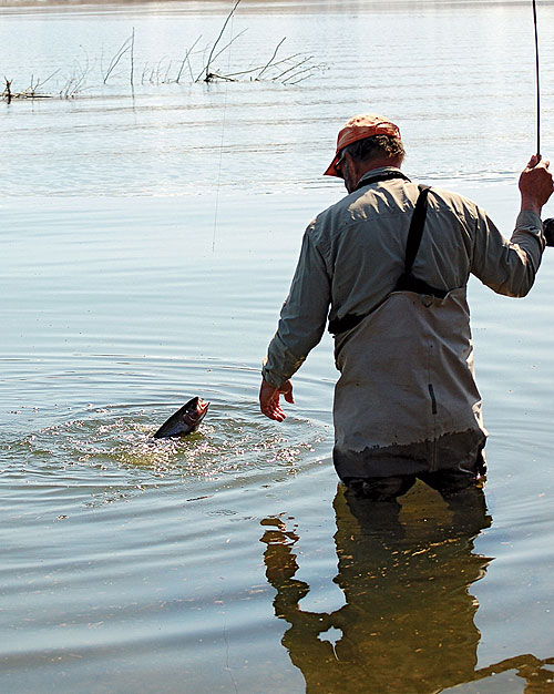 The Minimalist Approach to Fly Fishing - Game & Fish