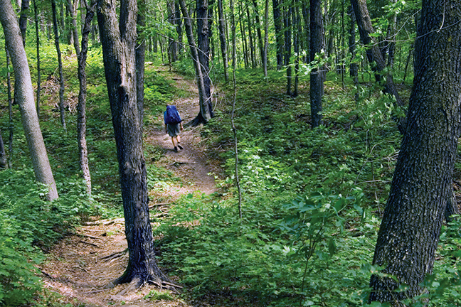 Backpacker hiking along a trail