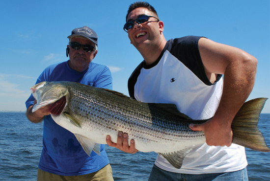 3 Proven Bait Rigs for Stripers